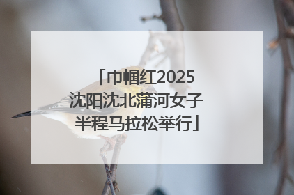 巾帼红2025沈阳沈北蒲河女子半程马拉松举行
