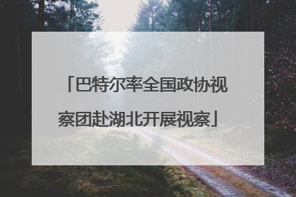 巴特尔率全国政协视察团赴湖北开展视察