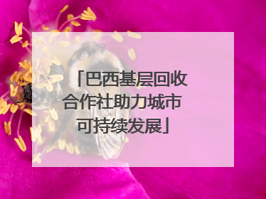 巴西基层回收合作社助力城市可持续发展