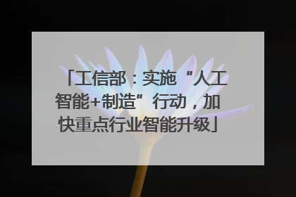 工信部：实施“人工智能+制造”行动，加快重点行业智能升级