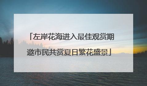 左岸花海进入最佳观赏期 邀市民共赏夏日繁花盛景