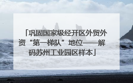 巩固国家级经开区外贸外资“第一梯队”地位——解码苏州工业园区样本