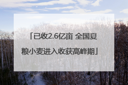 已收2.6亿亩 全国夏粮小麦进入收获高峰期