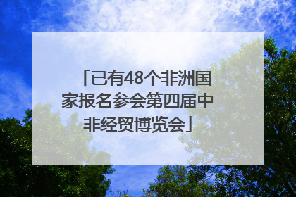 已有48个非洲国家报名参会第四届中非经贸博览会