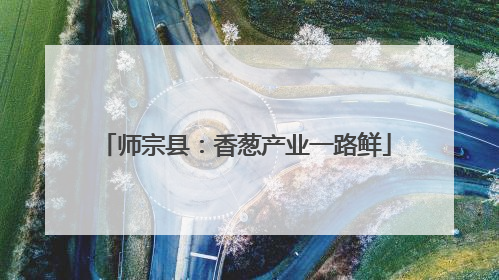 师宗县：香葱产业一路鲜