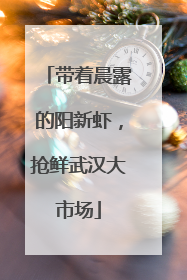 带着晨露的阳新虾，抢鲜武汉大市场