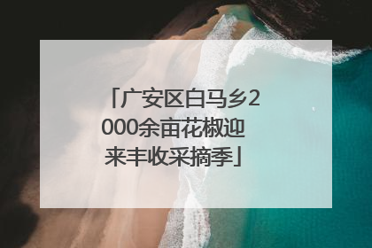 广安区白马乡2000余亩花椒迎来丰收采摘季