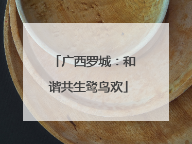 广西罗城：和谐共生鹭鸟欢