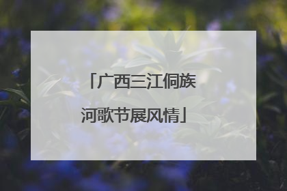 广西三江侗族河歌节展风情