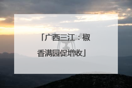 广西三江：椒香满园促增收