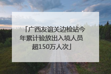 广西友谊关边检站今年累计验放出入境人员超150万人次