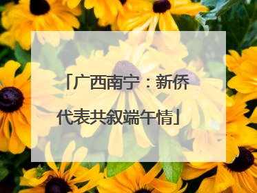 广西南宁：新侨代表共叙端午情