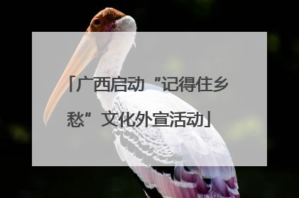 广西启动“记得住乡愁”文化外宣活动