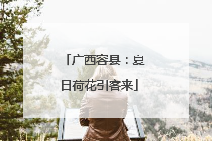 广西容县：夏日荷花引客来