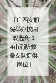 广西安职院举办校园双选会 14市消防救援支队提供岗位
