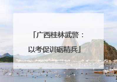 广西桂林武警：以考促训砺精兵
