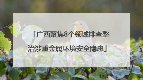 广西聚焦8个领域排查整治涉重金属环境安全隐患