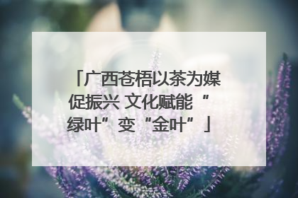 广西苍梧以茶为媒促振兴 文化赋能“绿叶”变“金叶”
