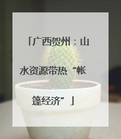 广西贺州：山水资源带热“帐篷经济”