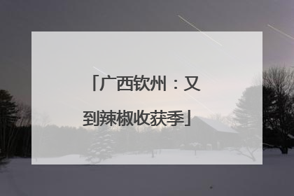 广西钦州：又到辣椒收获季