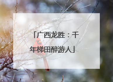 广西龙胜：千年梯田醉游人