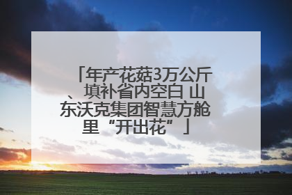 年产花菇3万公斤、填补省内空白 山东沃克集团智慧方舱里“开出花”
