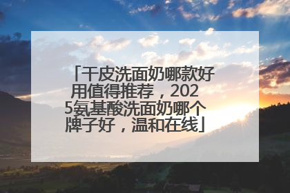 干皮洗面奶哪款好用值得推荐，2025氨基酸洗面奶哪个牌子好，温和在线