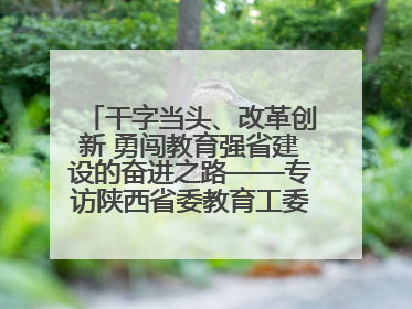 干字当头、改革创新 勇闯教育强省建设的奋进之路——专访陕西省委教育工委书记、省教育厅厅长王树声