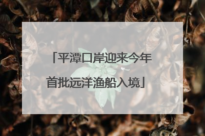 平潭口岸迎来今年首批远洋渔船入境