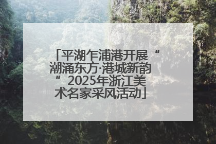 平湖乍浦港开展“潮涌东方·港城新韵”2025年浙江美术名家采风活动