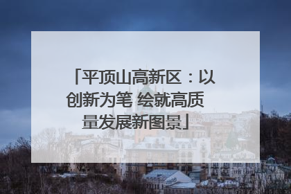 平顶山高新区：以创新为笔 绘就高质量发展新图景