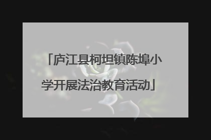 庐江县柯坦镇陈埠小学开展法治教育活动