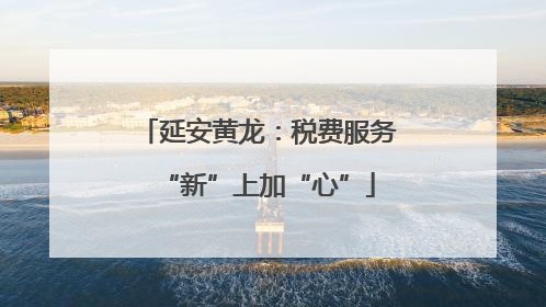 延安黄龙：税费服务“新”上加“心”