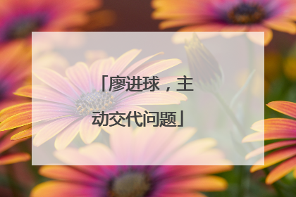 廖进球，主动交代问题