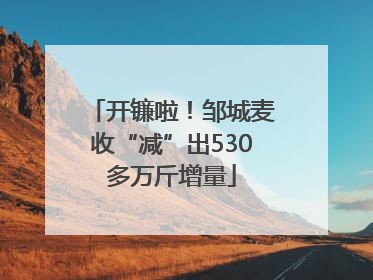 开镰啦！邹城麦收“减”出530多万斤增量