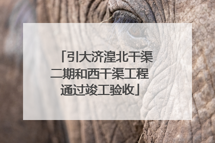 引大济湟北干渠二期和西干渠工程通过竣工验收