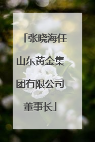 张晓海任山东黄金集团有限公司董事长