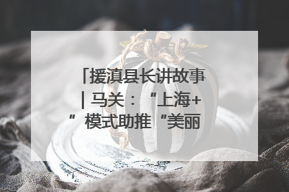 援滇县长讲故事｜马关：“上海+”模式助推“美丽产业”幸福绽放