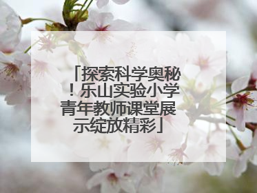 探索科学奥秘！乐山实验小学青年教师课堂展示绽放精彩
