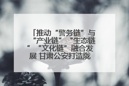推动“警务链”与“产业链”“生态链”“文化链”融合发展 甘肃公安打造陇原旅游警务品牌