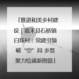 推进和美乡村建设｜嘉禾县石桥镇白珠村：党建引领破“空”局 乡贤聚力绘就新图景