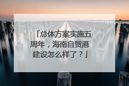 总体方案实施五周年，海南自贸港建设怎么样了？