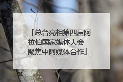 总台亮相第四届阿拉伯国家媒体大会 聚焦中阿媒体合作