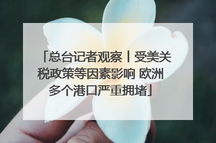 总台记者观察丨受美关税政策等因素影响 欧洲多个港口严重拥堵
