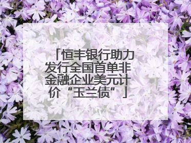 恒丰银行助力发行全国首单非金融企业美元计价“玉兰债”
