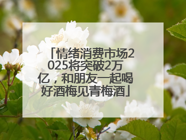 情绪消费市场2025将突破2万亿，和朋友一起喝好酒梅见青梅酒