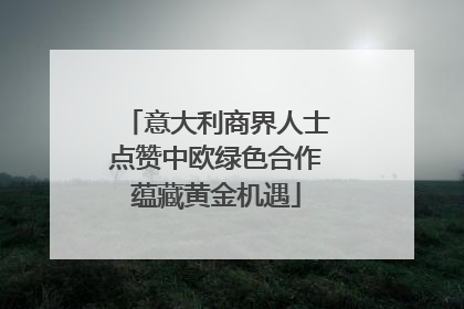意大利商界人士点赞中欧绿色合作蕴藏黄金机遇