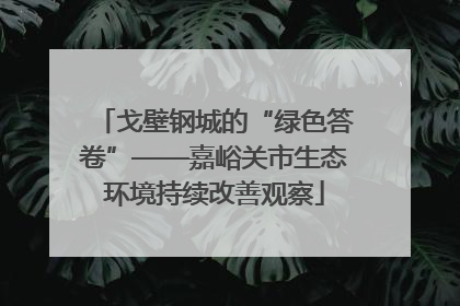 戈壁钢城的“绿色答卷”——嘉峪关市生态环境持续改善观察