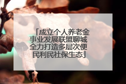 成立个人养老金事业发展联盟聊城全力打造多层次便民利民社保生态