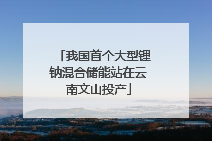 我国首个大型锂钠混合储能站在云南文山投产